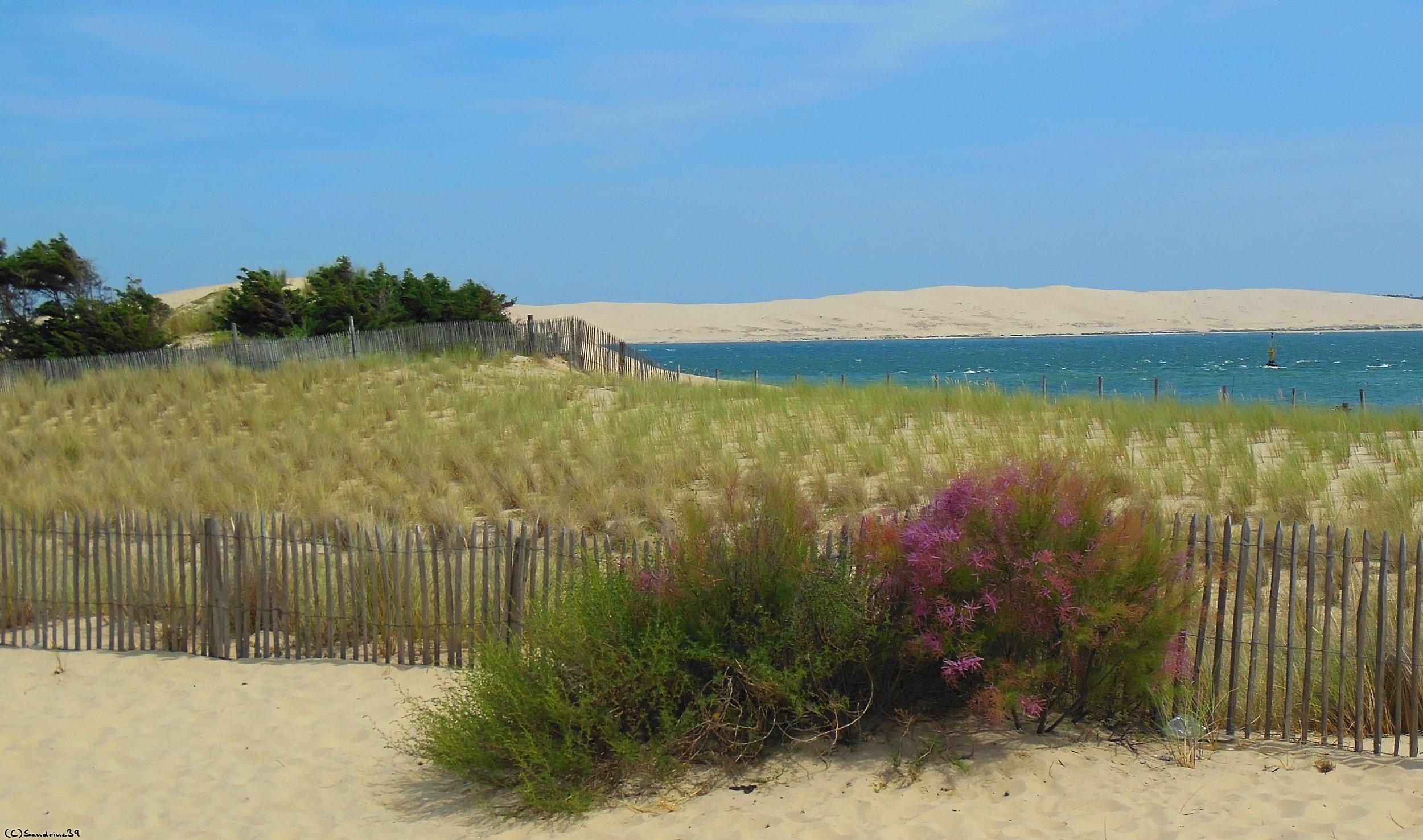 Wallpapers Nature Seas - Oceans - Beaches Plage du Cap Ferret