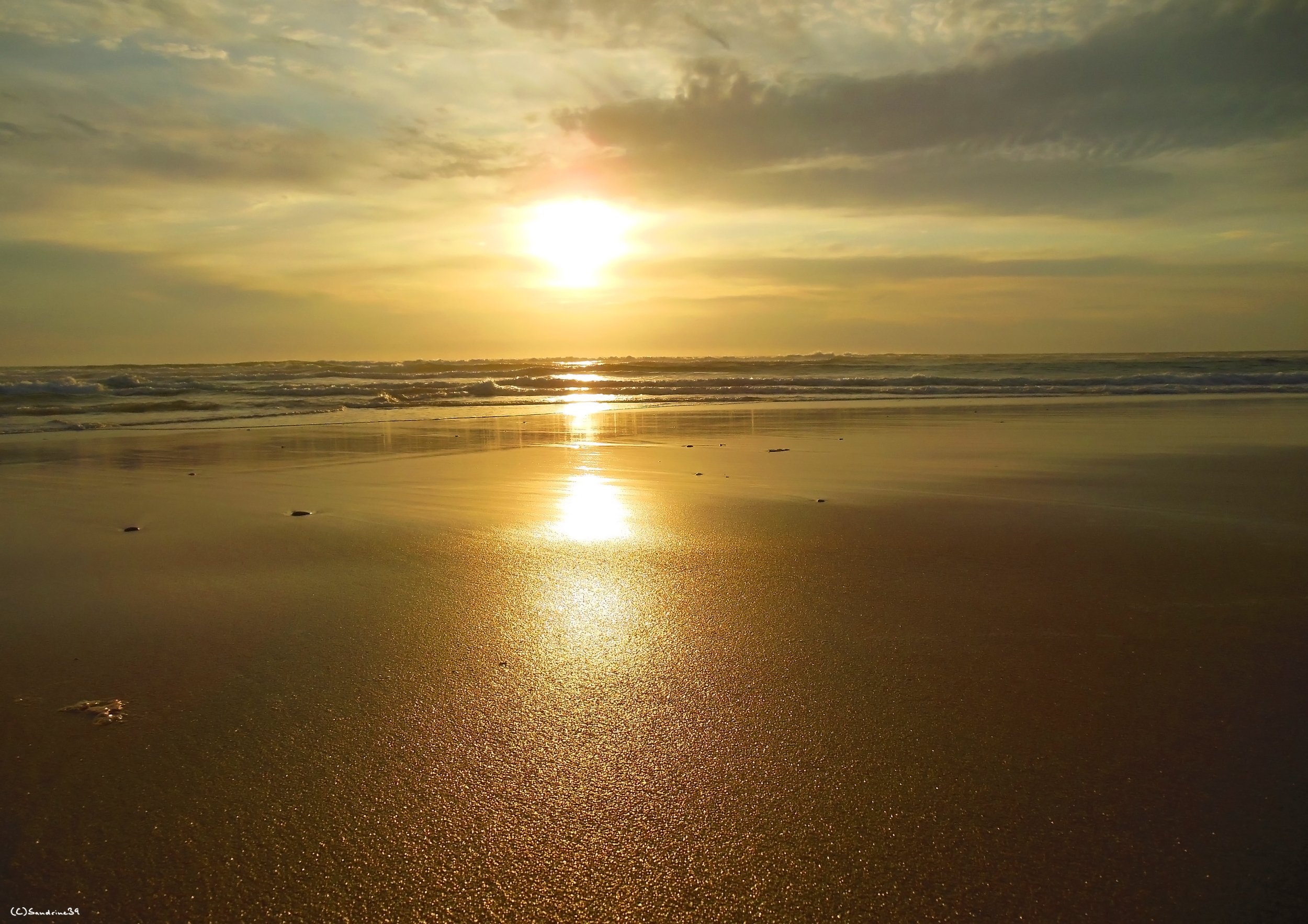 Wallpapers Nature Seas - Oceans - Beaches Sable blond