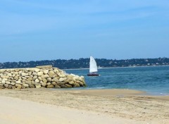  Nature Entre du bassin d'Arcachon