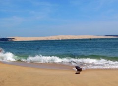  Nature Vue sur la Dune du Pilat depuis le Cap-ferret