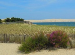  Nature Plage du Cap Ferret