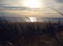  Nature Dunes et plages