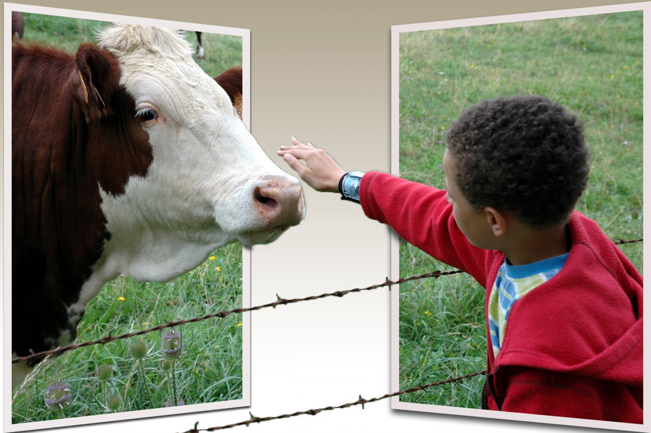 Fonds d'cran Art - Numrique Photomanipulation L'enfant et la vache