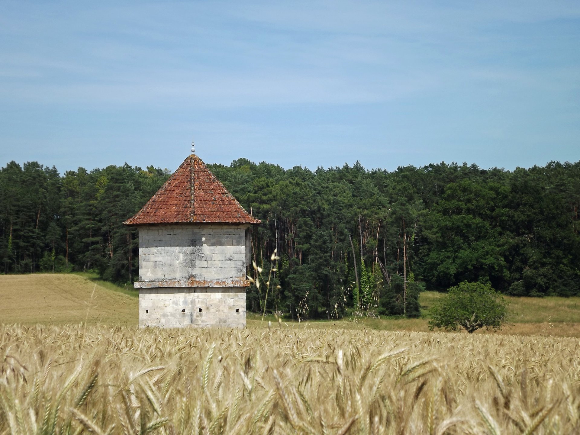 Wallpapers Constructions and architecture Countryside constructions vieux pigeonnier