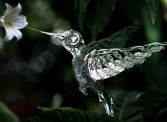  Art - Numrique CyberColibri