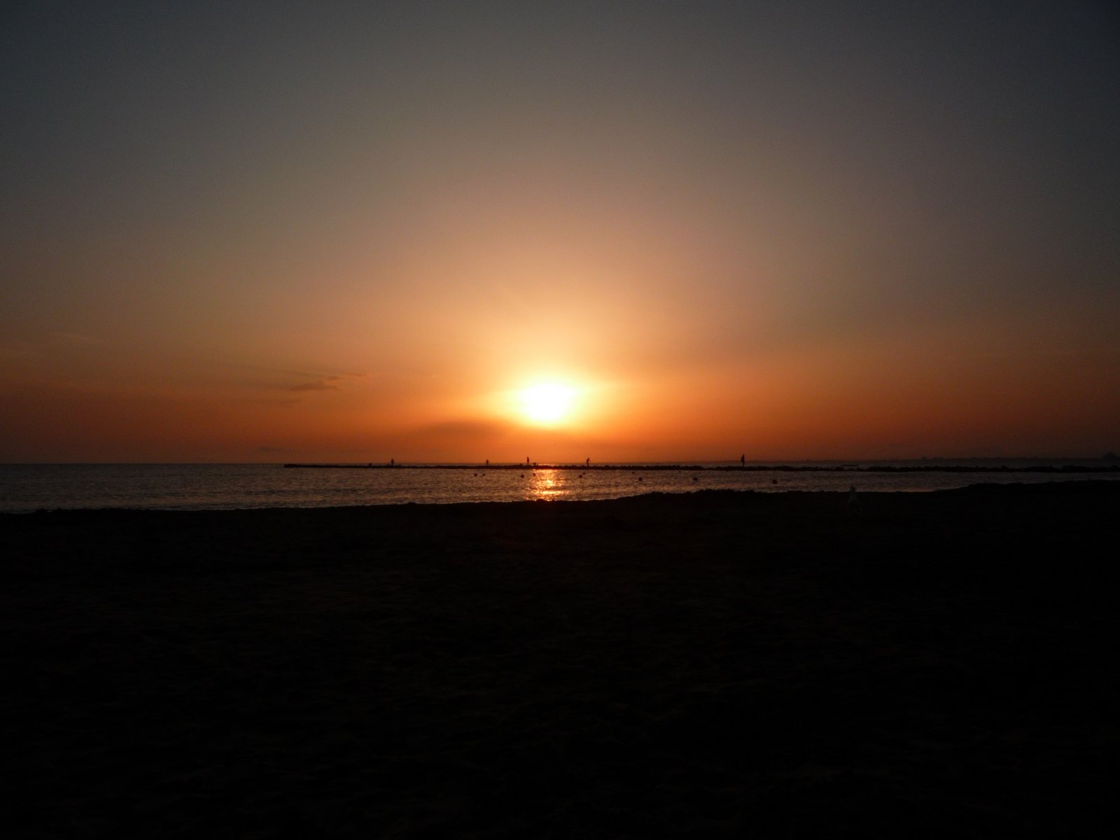 Wallpapers Nature Sunsets and sunrises Port Camargue