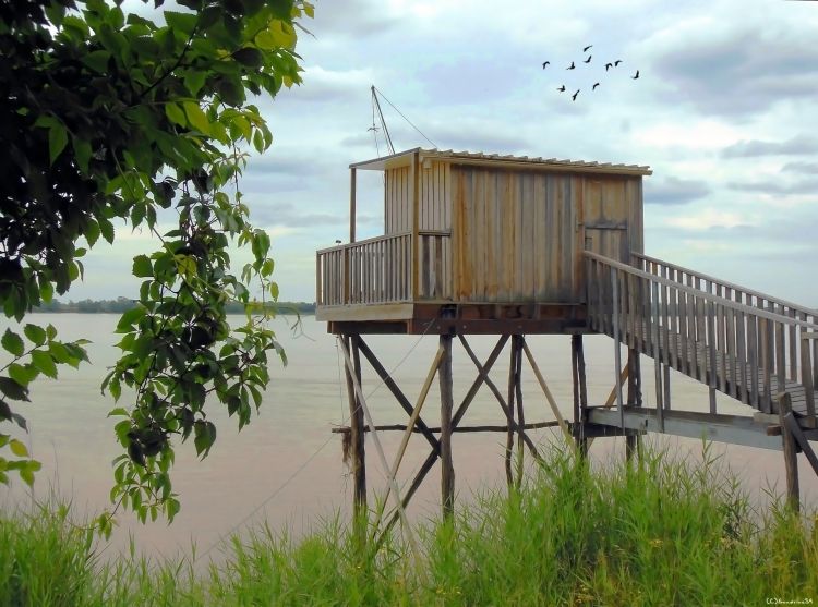 Fonds d'cran Nature Fleuves - Rivires - Torrents Carrelet sur Dordogne