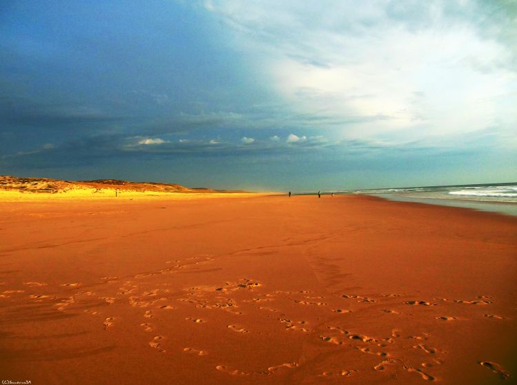 Fonds d'cran Nature Mers - Ocans - Plages Plage de l'horizon