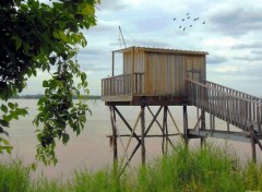  Nature Carrelet sur Dordogne