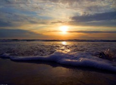  Nature Plage et soleil