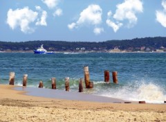  Nature Entre du Bassin d'Arcachon 