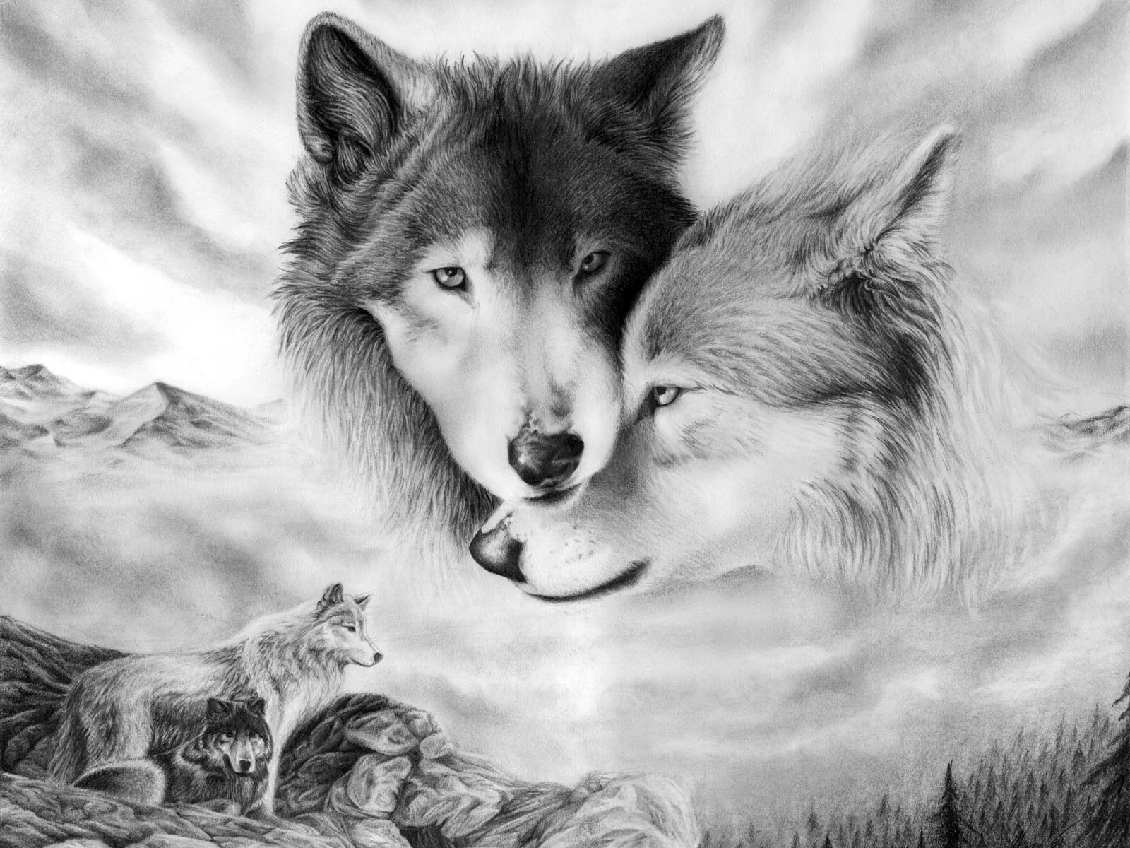 Wallpapers Art - Pencil Animals - Wolves Loups tendresse.