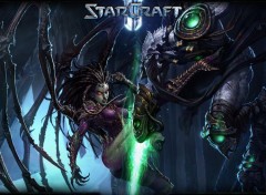  Video Games Kerrigan vs Zeratul