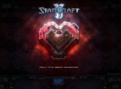  Video Games Saint Valentin Terran