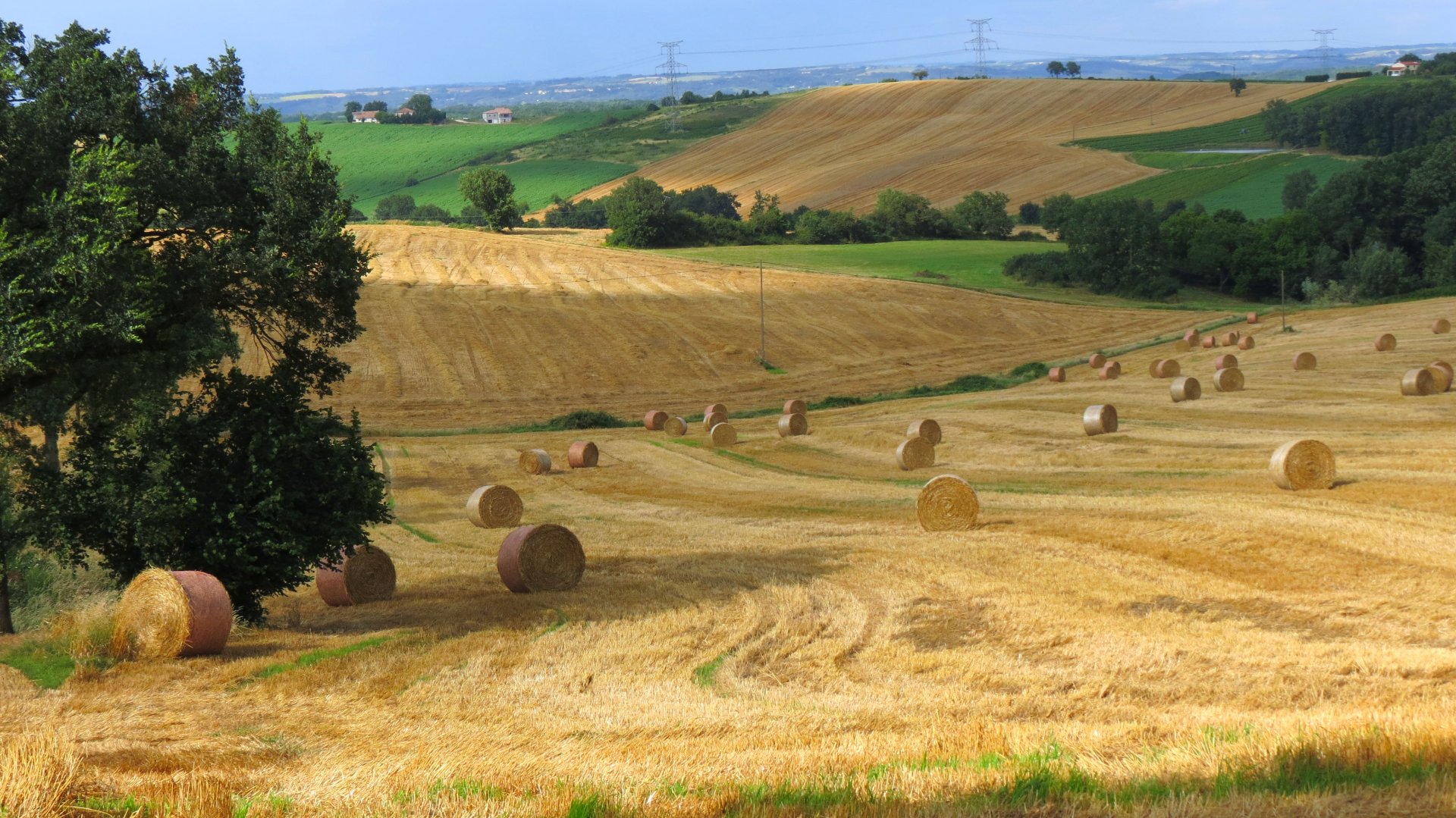 Fonds d'cran Nature Champs - Prairies Champ de bl moissonn en campagne Lot et Garonnaise