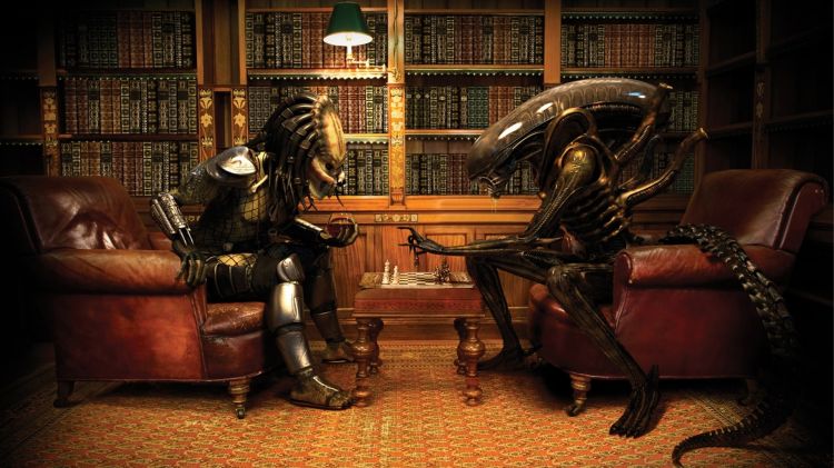 Fonds d'cran Cinma Alien vs Predator Wallpaper N307024