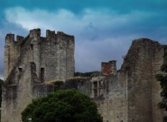  Constructions and architecture ruines du chateau barriere (prigueux)