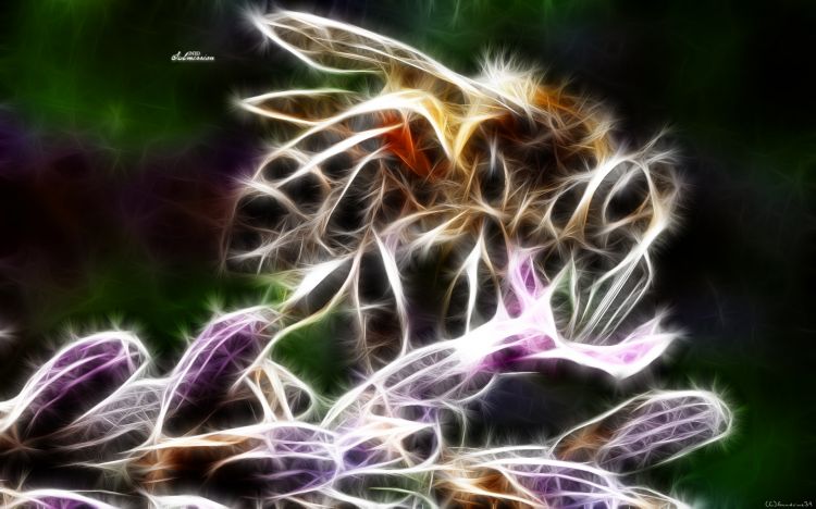 Wallpapers Digital Art Animals Abeille 