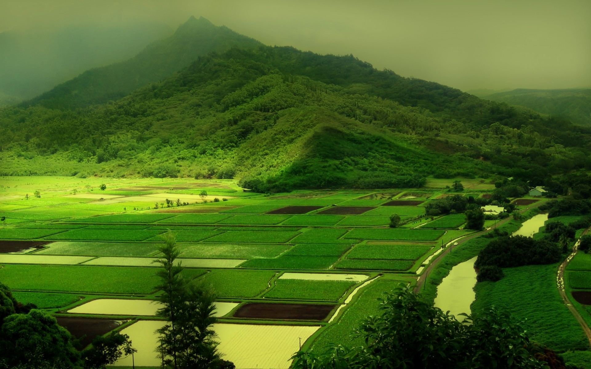 Fonds d'cran Nature Paysages 