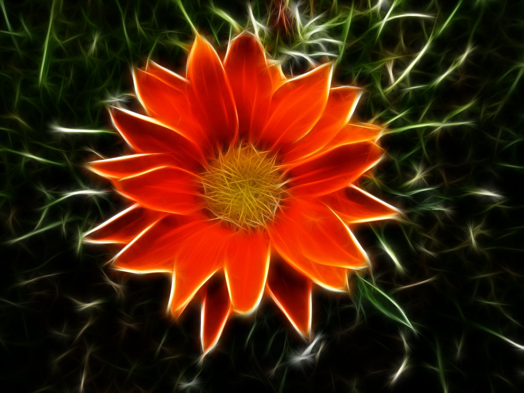 Wallpapers Digital Art Nature - Flowers 