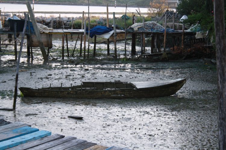 Fonds d'cran Voyages : Europe Italie Scatti di Grao