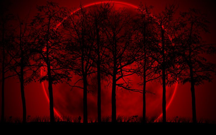 Wallpapers Digital Art Nature - Skies, sunsets Red moon