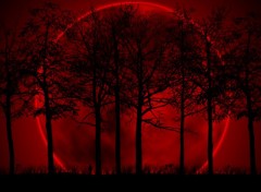  Digital Art Red moon