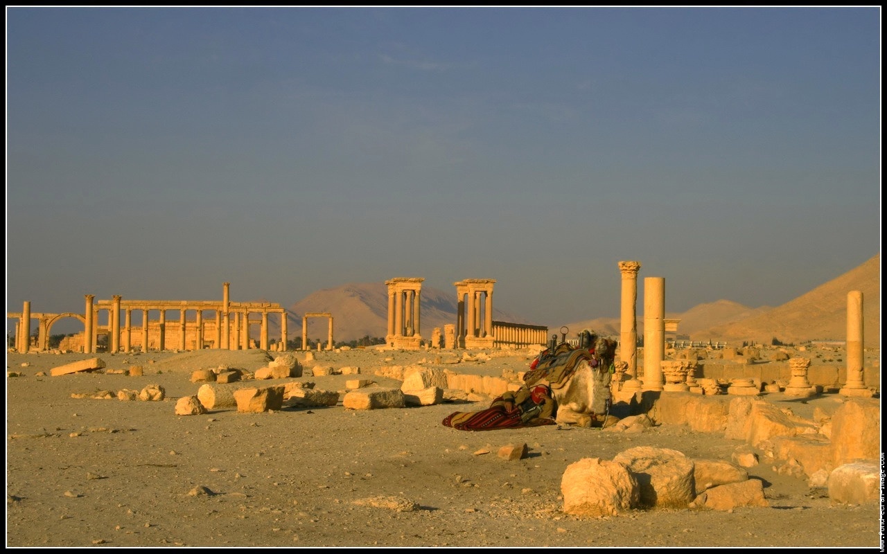 Wallpapers Trips : Asia Syrie palmyra