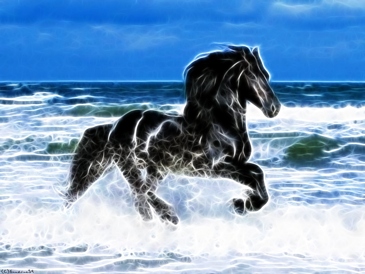 Wallpapers Digital Art Animals 