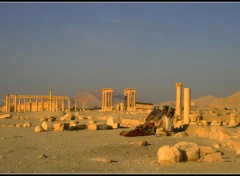  Voyages : Asie palmyra