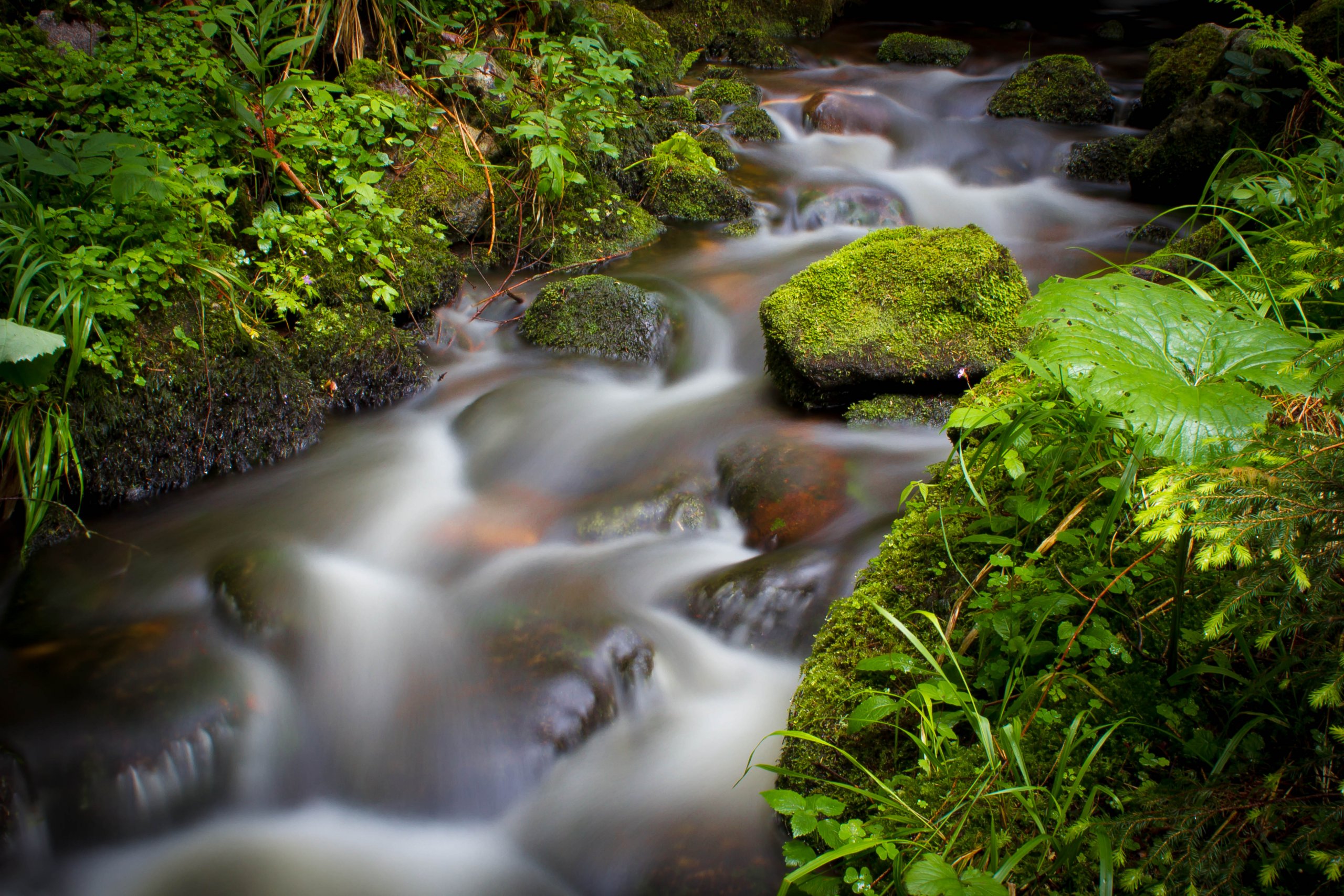 Wallpapers Nature Waterfalls Torrent