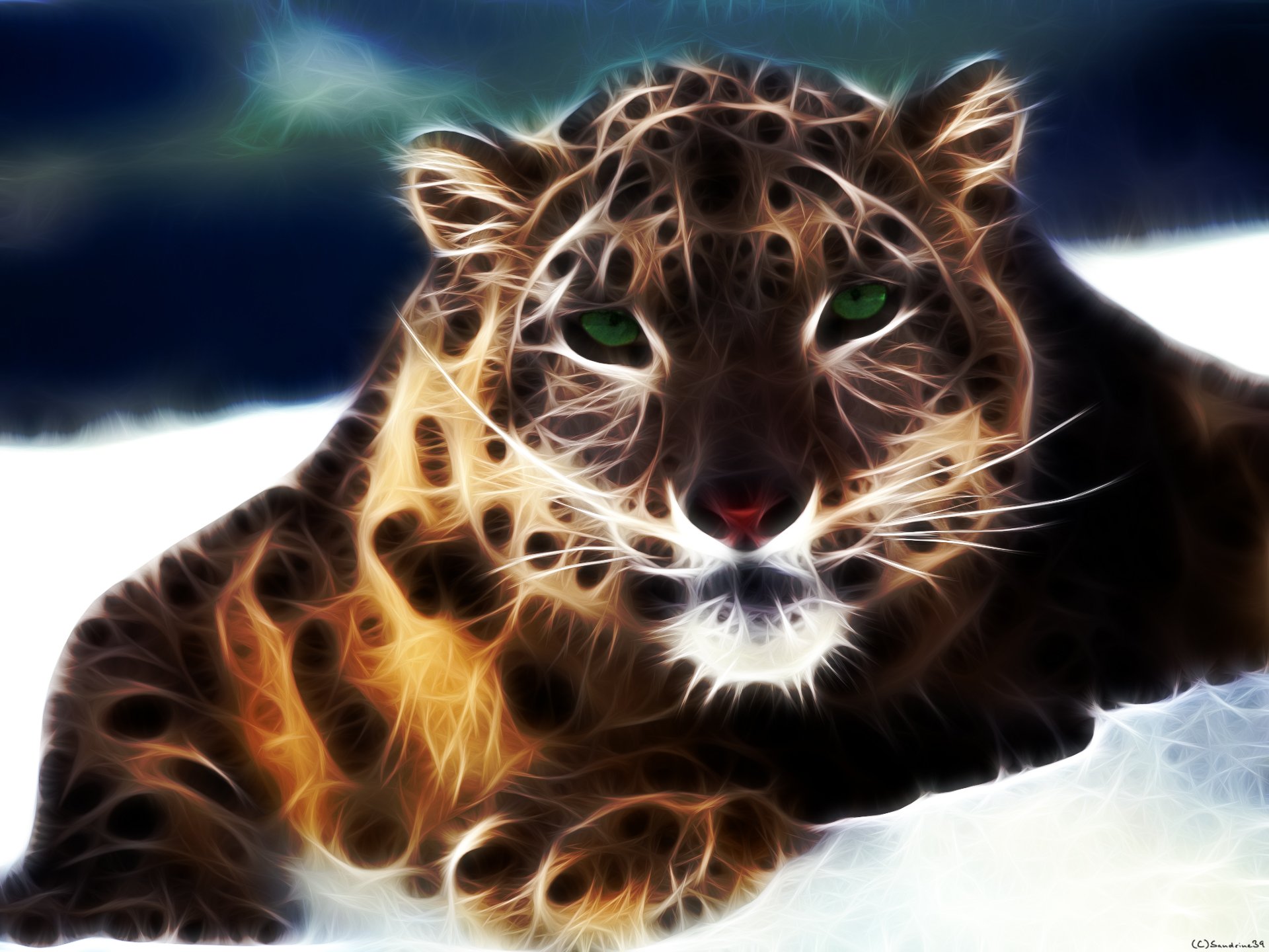 Wallpapers Digital Art Animals 