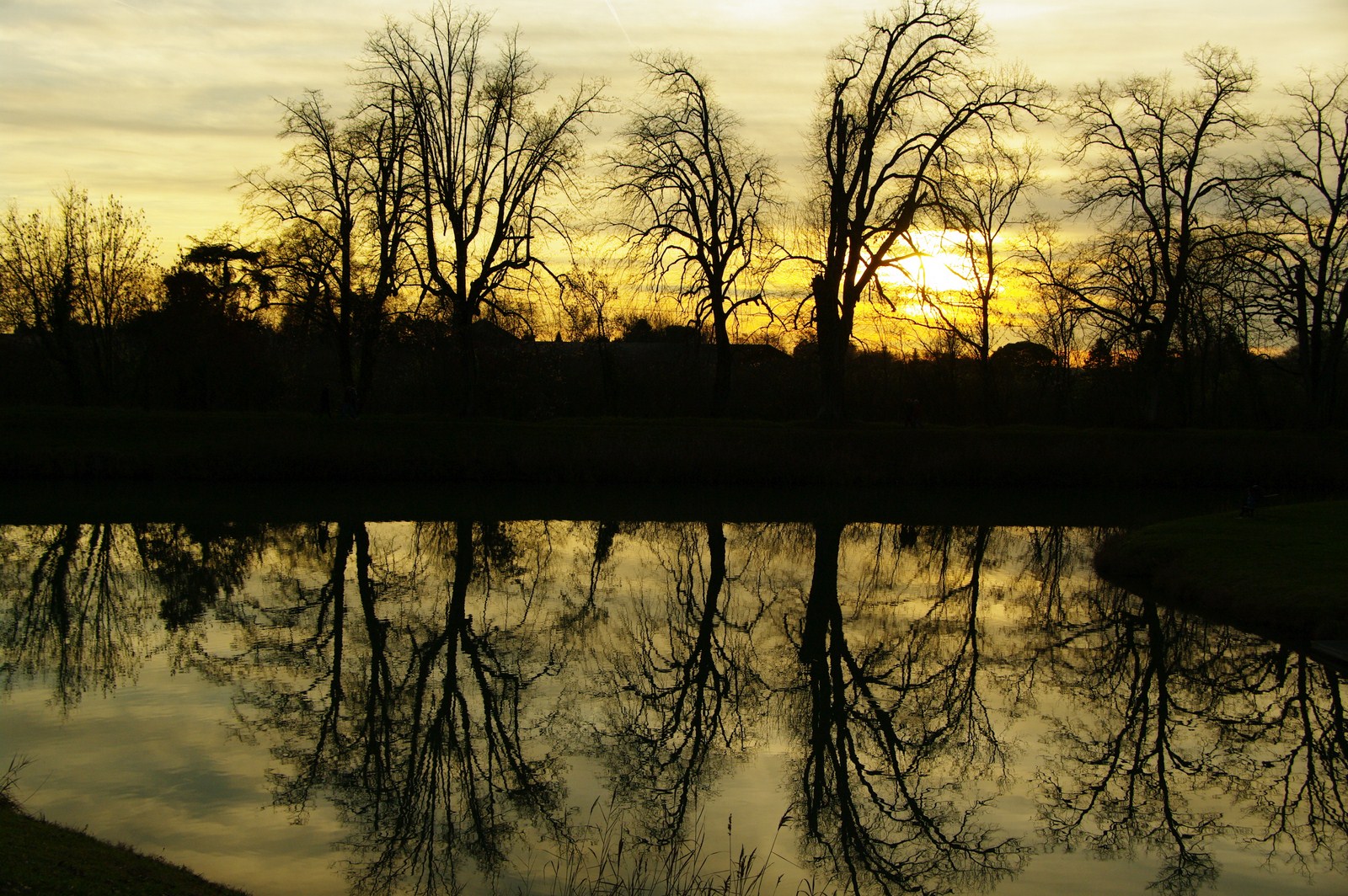 Wallpapers Nature Trees - Forests Couche de soleil (effet miroir)