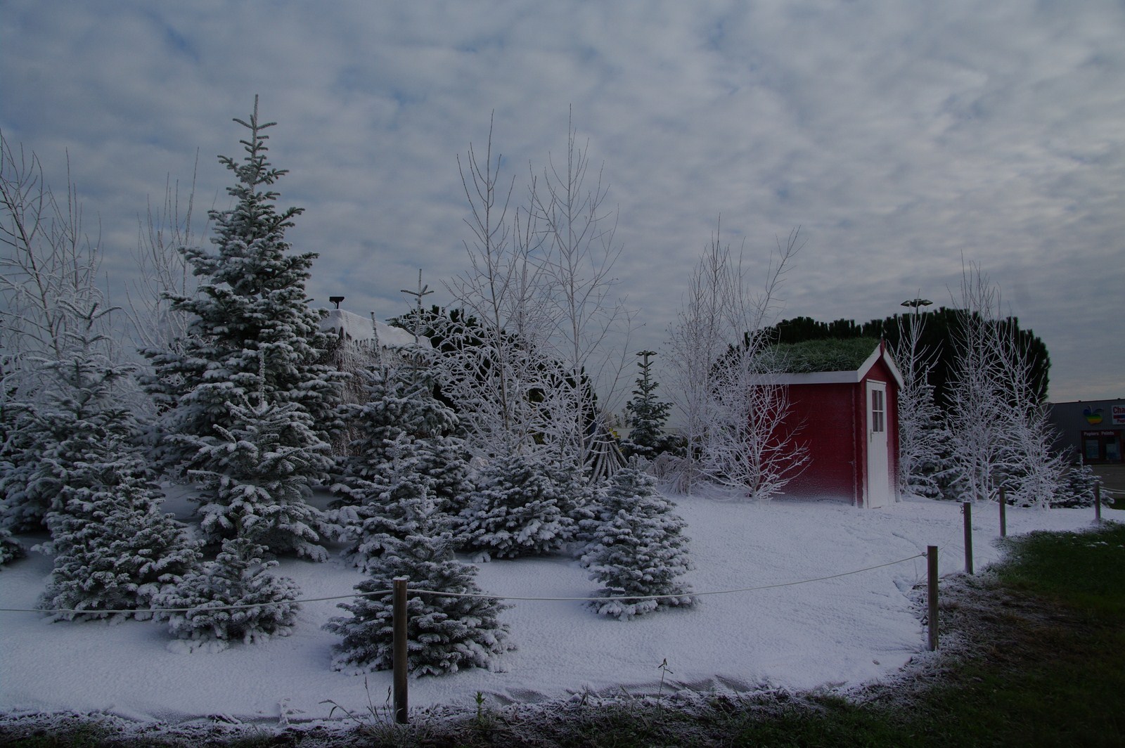 Fonds d'cran Nature Saisons - Hiver Paysage de montagne en ville