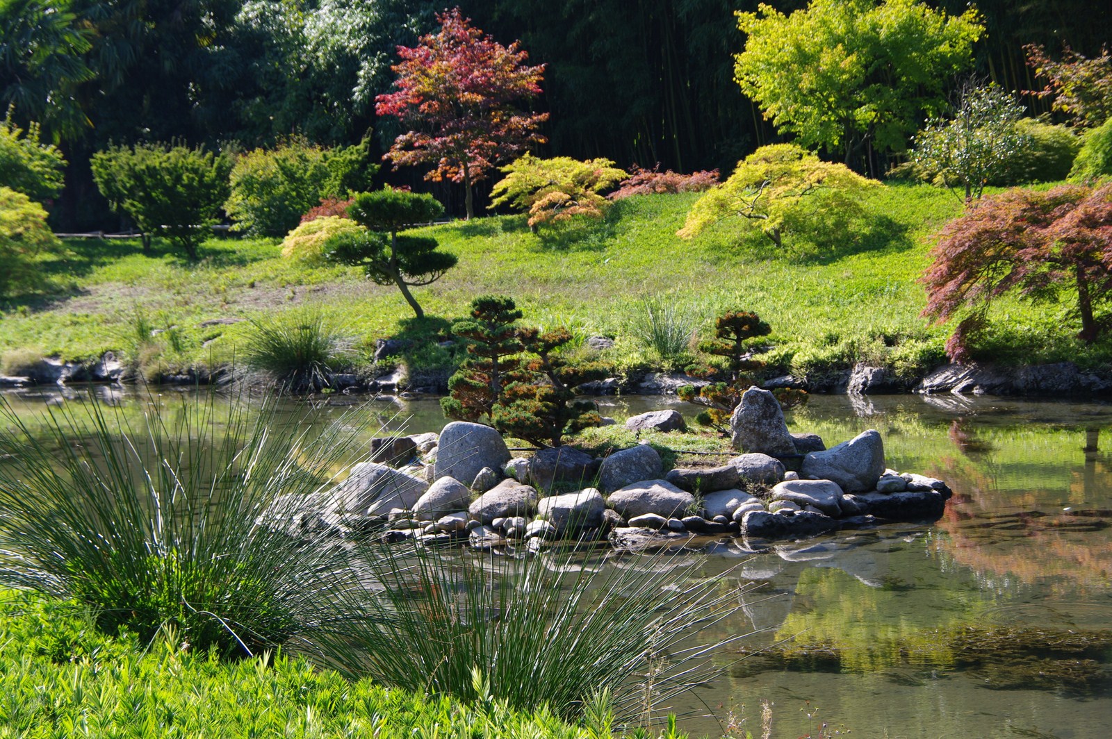 Fonds d'cran Nature Parcs - Jardins Jardin zen