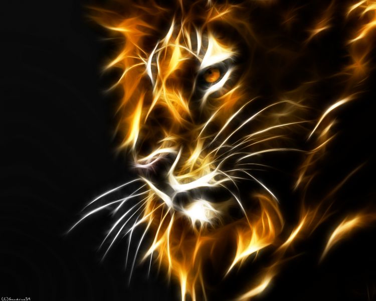 Wallpapers Digital Art Animals Wallpaper N307731