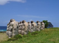  Constructions and architecture Mmorial Anse Caffard (Martinique)