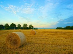  Nature Le temps des moissons