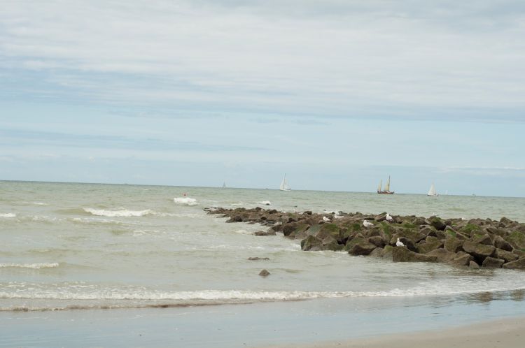 Fonds d'cran Nature Mers - Ocans - Plages Plage Nieuwpoort