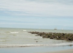  Nature Plage Nieuwpoort