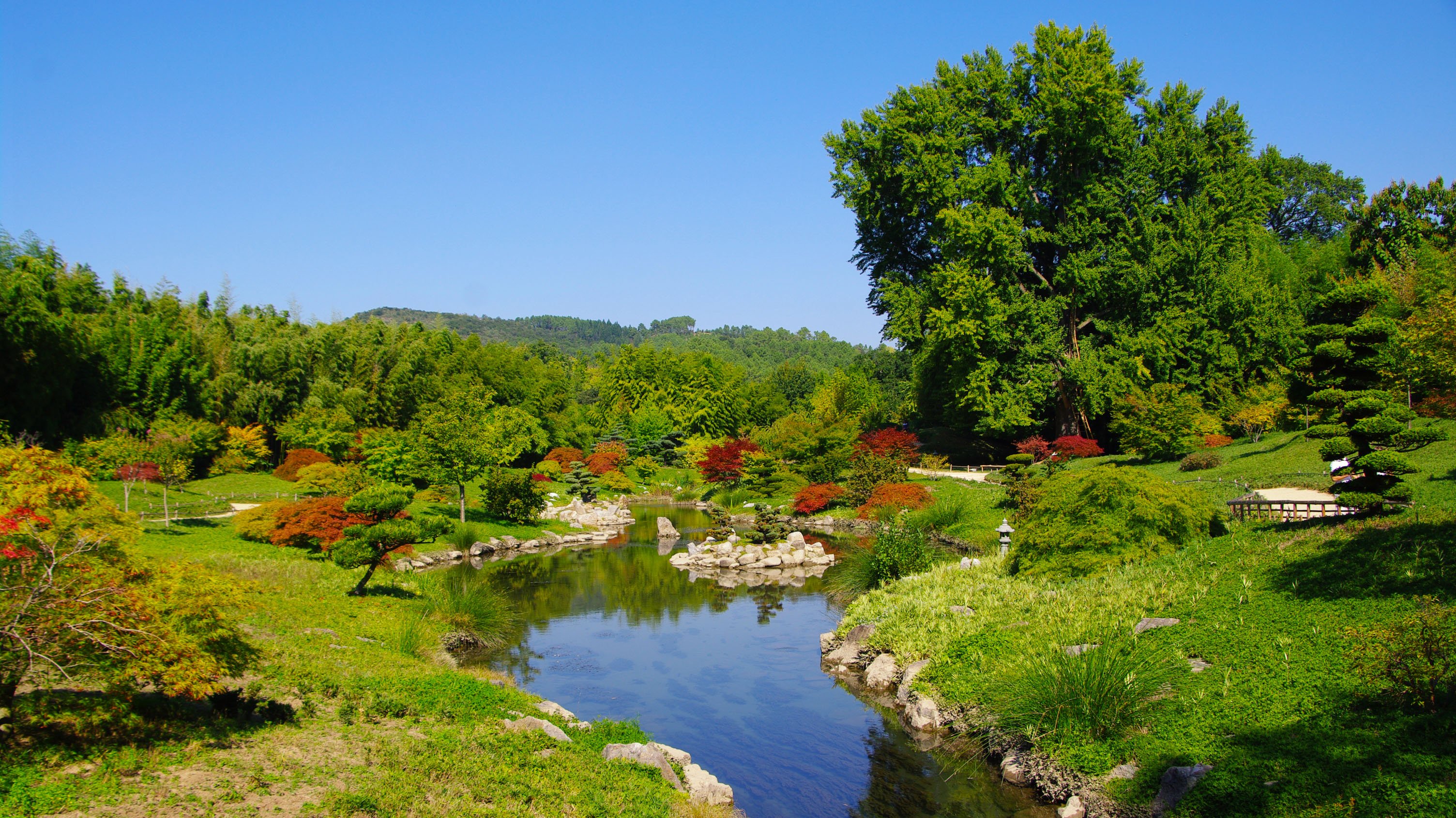 Fonds d'cran Nature Parcs - Jardins Jardin Japonais dans la Bambouseraie d'Anduze