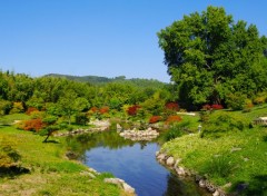  Nature Jardin Japonais dans la Bambouseraie d'Anduze