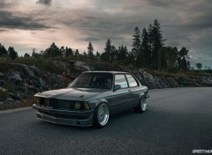  Voitures bmw M3 e21