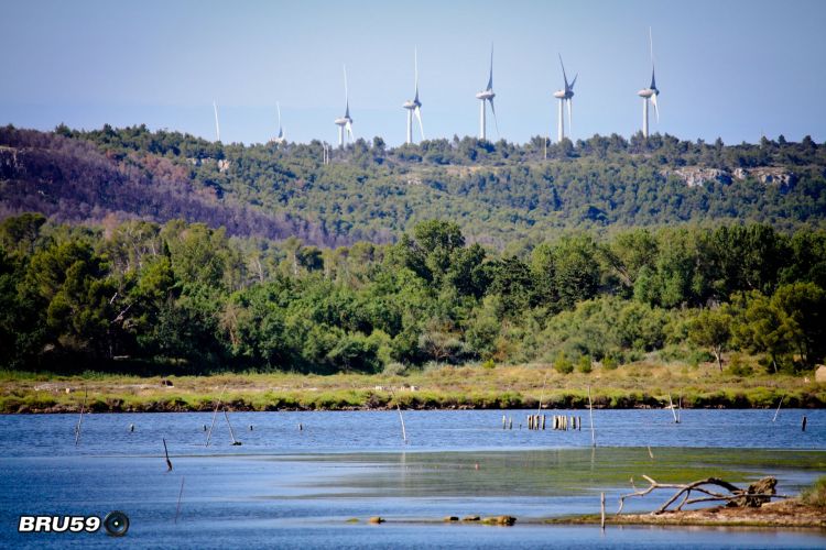 Fonds d'cran Nature Lacs - Etangs Salins de Peyriac sur Mer