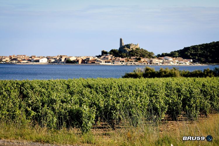 Fonds d'cran Nature Lacs - Etangs Gruissan et sa tour Barberousse