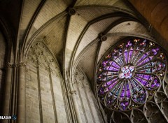  Constructions and architecture Carcassone et son Eglise St Nazaire avec sa rosace