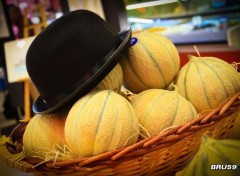  Nature Melons et chapeau melon