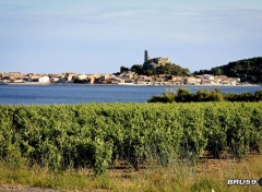  Nature Gruissan et sa tour Barberousse