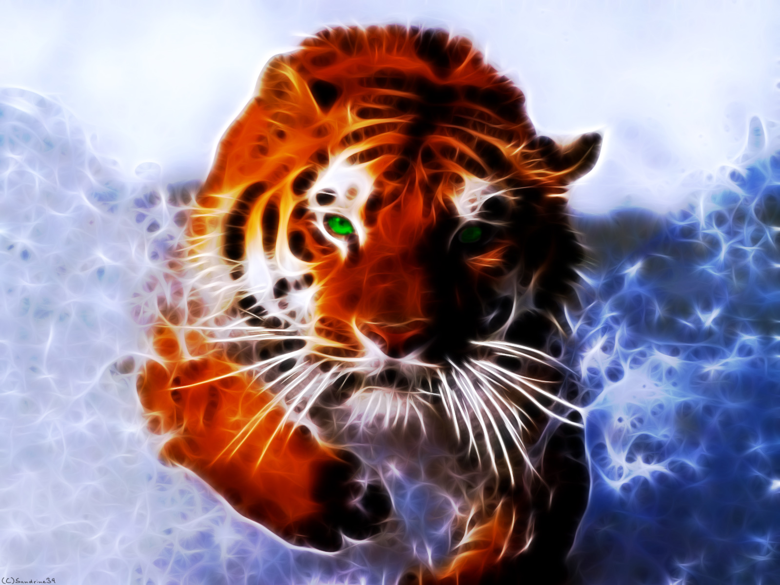 Wallpapers Digital Art Animals 