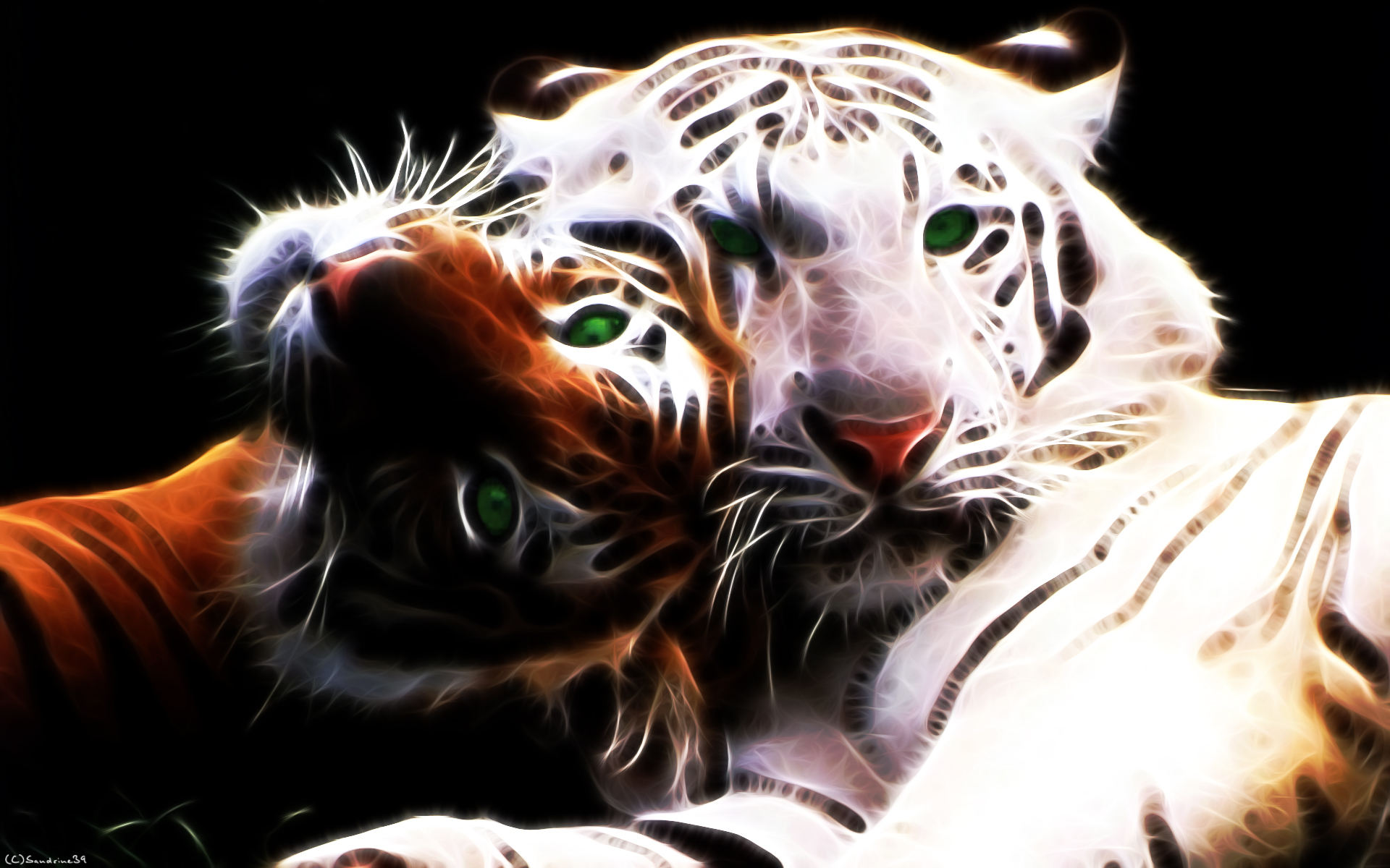 Wallpapers Digital Art Animals 